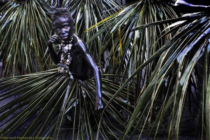 Carnaval de la République dominicaine